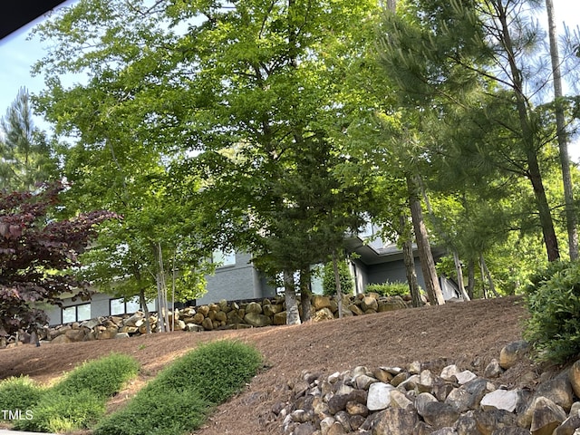 70005 Morehead, Chapel Hill, NC 27517 - photo 39