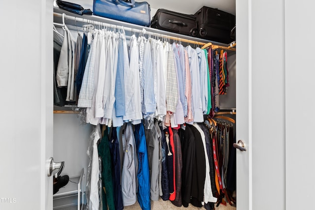 spacious closet featuring carpet