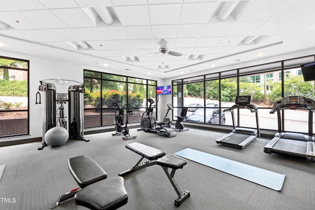 gym with carpet flooring, a drop ceiling, plenty of natural light, and ceiling fan