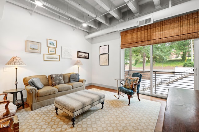 living room featuring hardwood / wood-style floors and track lighting