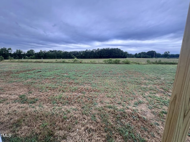 view of yard with a rural view