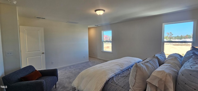 bedroom featuring carpet floors