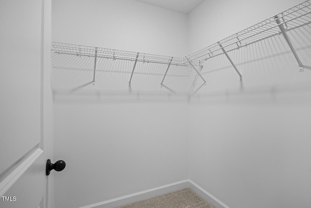 spacious closet featuring carpet floors