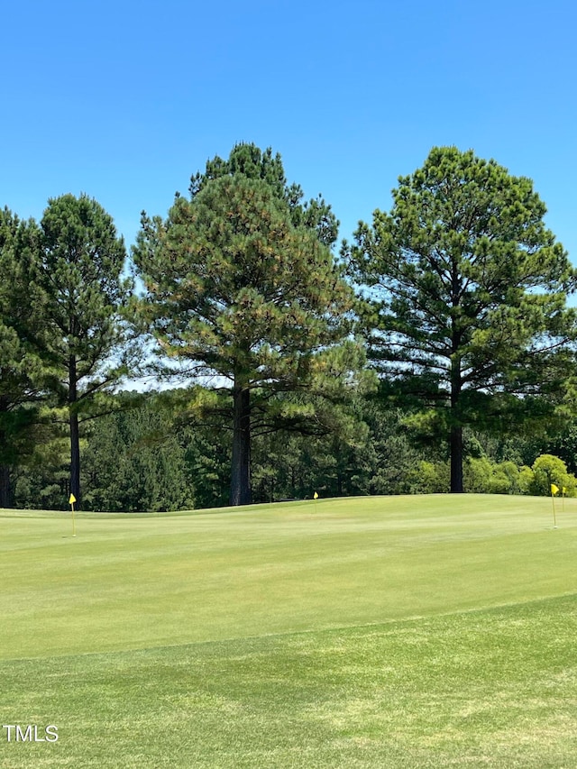 view of community with a yard