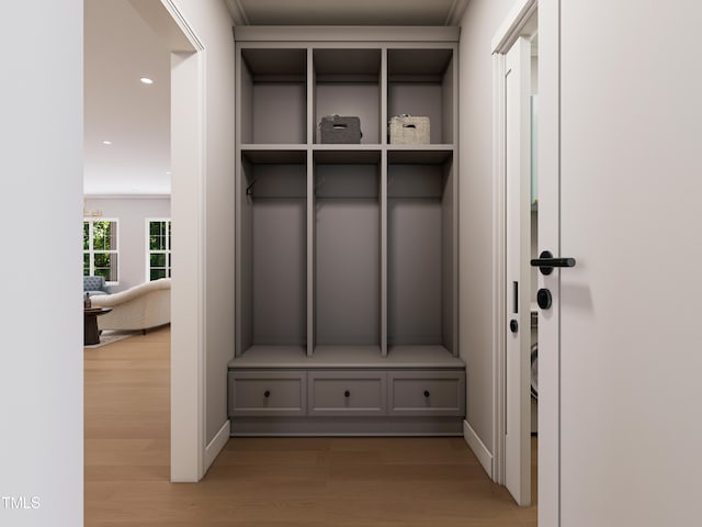 mudroom with wood-type flooring