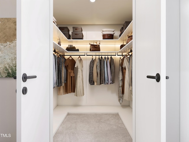 view of walk in closet