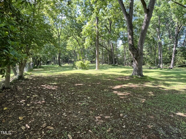 223 E Nash St, Spring Hope, NC 27882 - view of yard