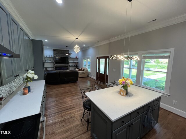 223 E Nash St, Spring Hope, NC 27882 - kitchen featuring light countertops, dark wood-style floors, visible vents, and crown molding