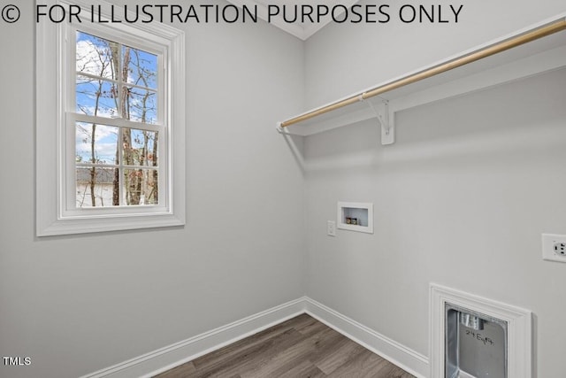 washroom with dark hardwood / wood-style flooring, washer hookup, and a wealth of natural light