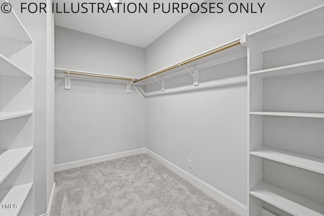 walk in closet featuring carpet floors