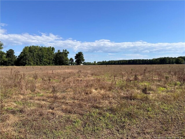 Listing photo 3 for 2 Moss Neck Rd Lot1, Pembroke NC 28372