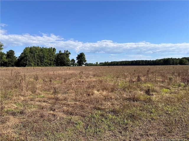 Listing photo 3 for 2 Moss Neck Rd Lot1, Pembroke NC 28372