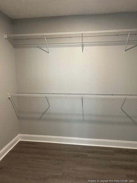 walk in closet featuring dark hardwood / wood-style floors