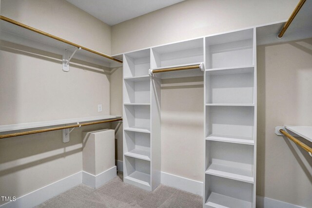 walk in closet featuring light carpet