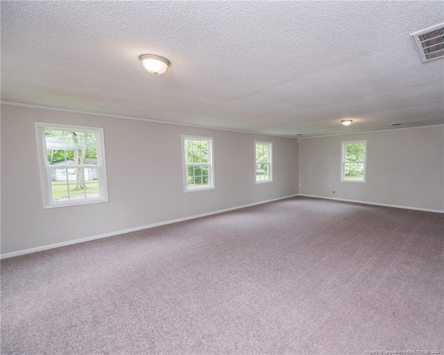 spare room featuring carpet floors and a textured ceiling