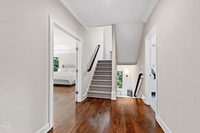 3209 Bryant Falls Ct, Raleigh, NC 27613 - staircase featuring wood finished floors, crown molding, and baseboards