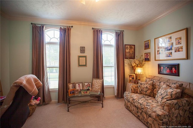 interior space with crown molding, light carpet, and a textured ceiling