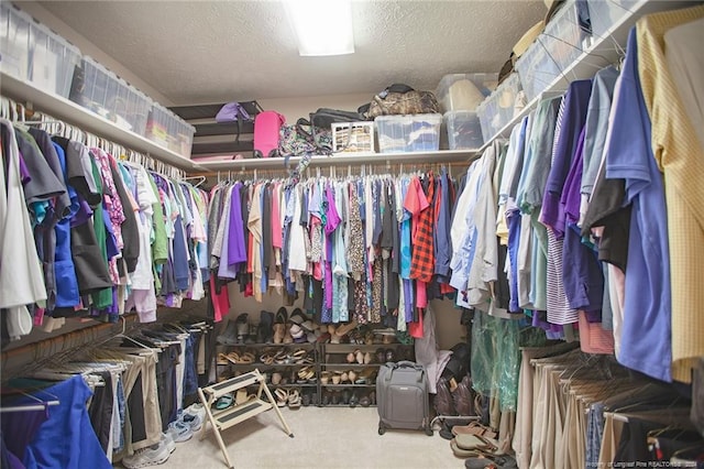 walk in closet featuring carpet