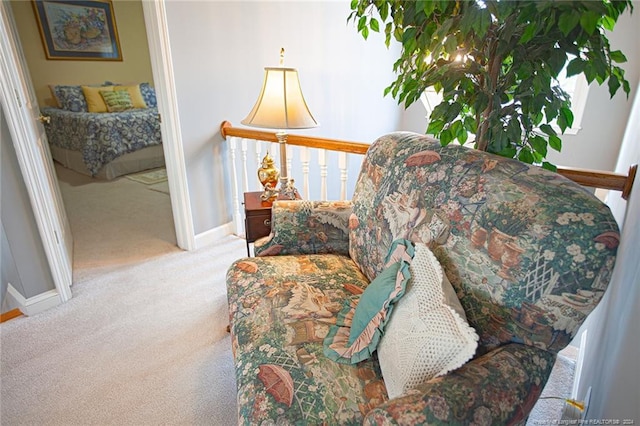 sitting room with carpet