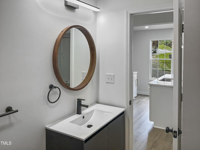 bathroom with wood-type flooring and vanity