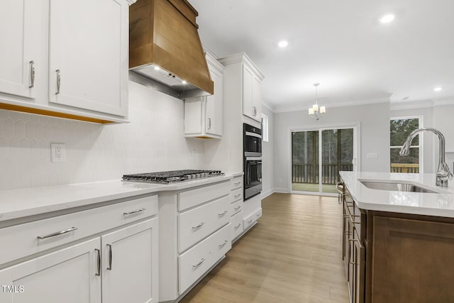 kitchen featuring white cabinetry, sink, stainless steel appliances, crown molding, and custom range hood