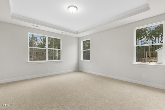 empty room featuring a tray ceiling and carpet floors