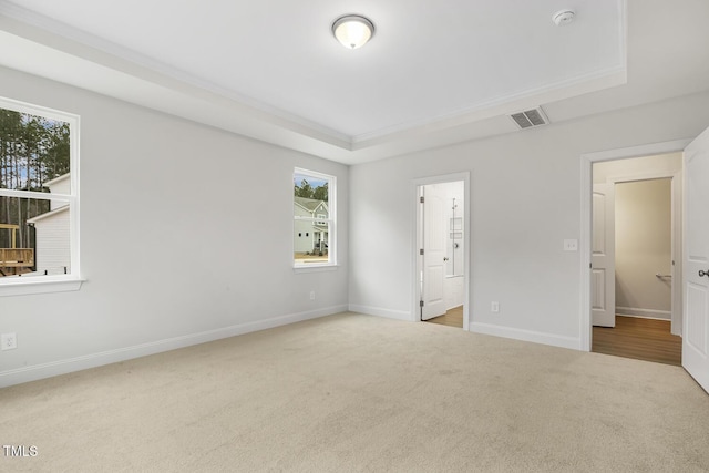 unfurnished bedroom with a tray ceiling and light carpet