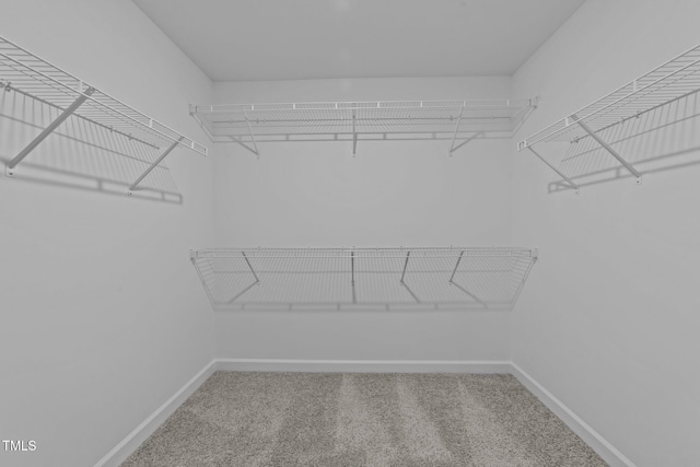 spacious closet with carpet