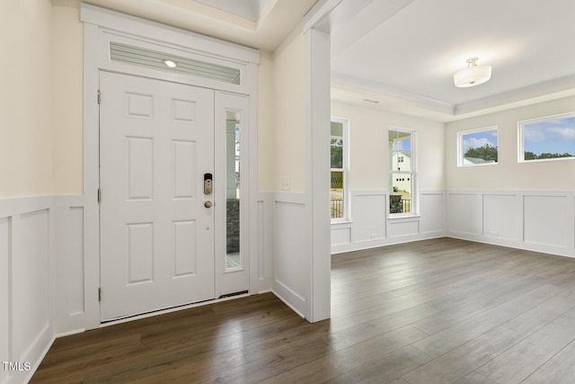 entryway with a tray ceiling and dark hardwood / wood-style floors