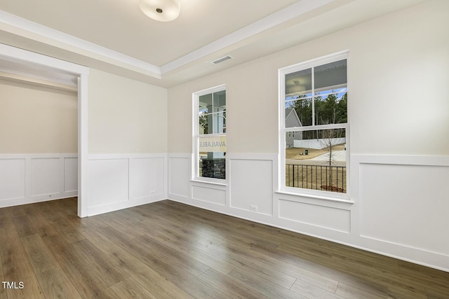 spare room featuring a tray ceiling, dark hardwood / wood-style flooring, and a wealth of natural light