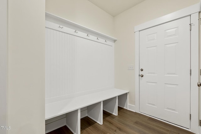 mudroom featuring dark hardwood / wood-style flooring