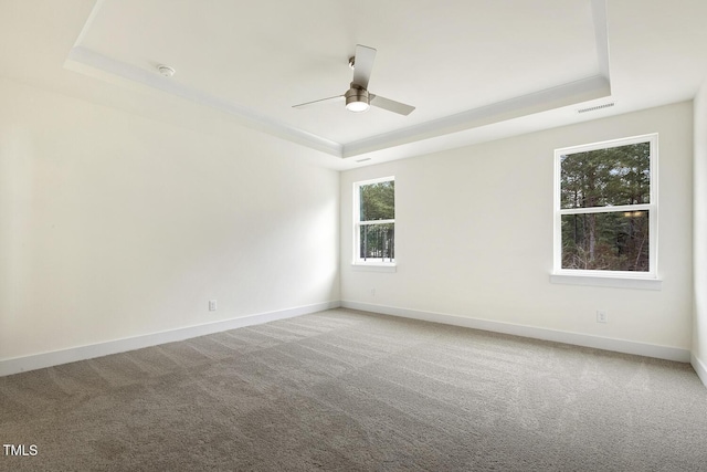 unfurnished room featuring a raised ceiling, carpet floors, and ceiling fan