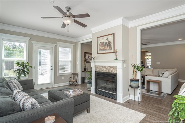 living room featuring ceiling fan, dark hardwood / wood-style flooring, and ornamental molding