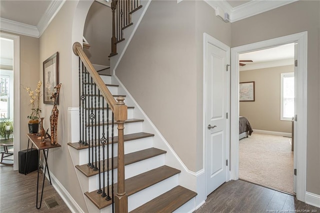 stairway with hardwood / wood-style floors and crown molding