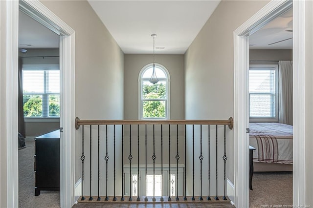 hallway with plenty of natural light and carpet flooring