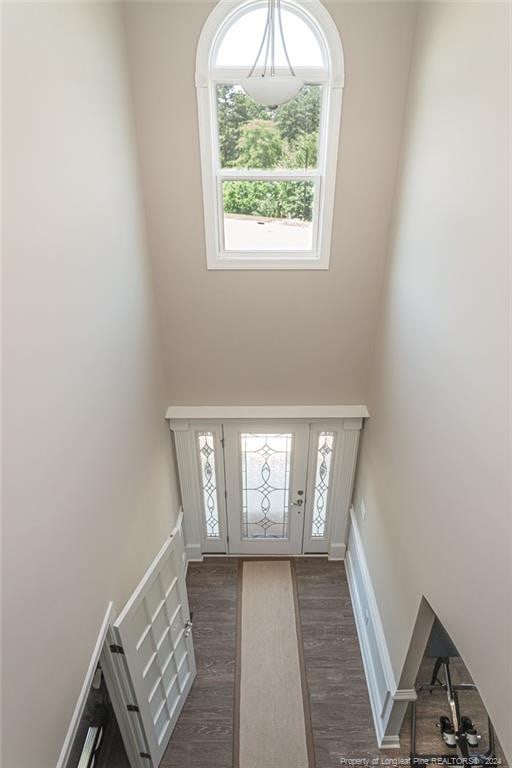 entrance foyer with dark wood-type flooring