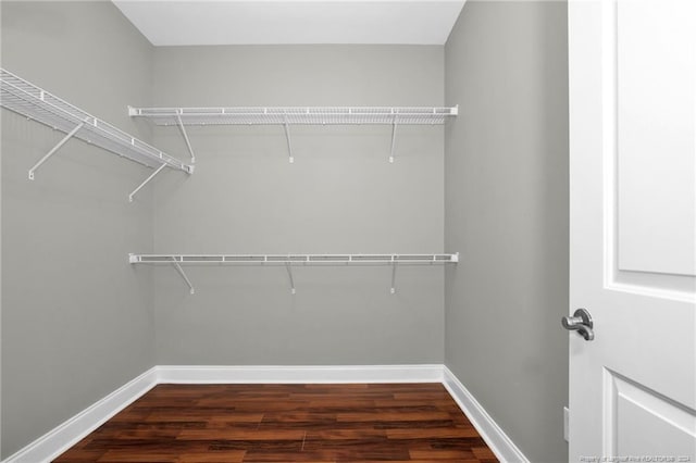 walk in closet with dark hardwood / wood-style floors