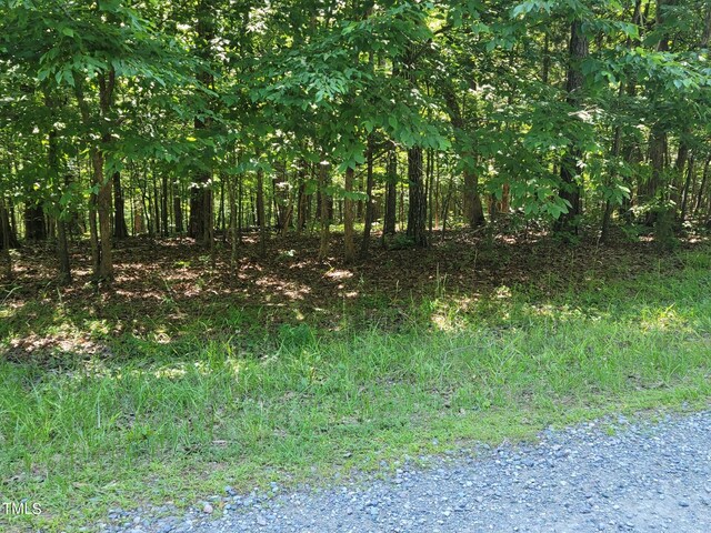 242 Lakestone Ests, Pittsboro, NC 27312 - photo 35