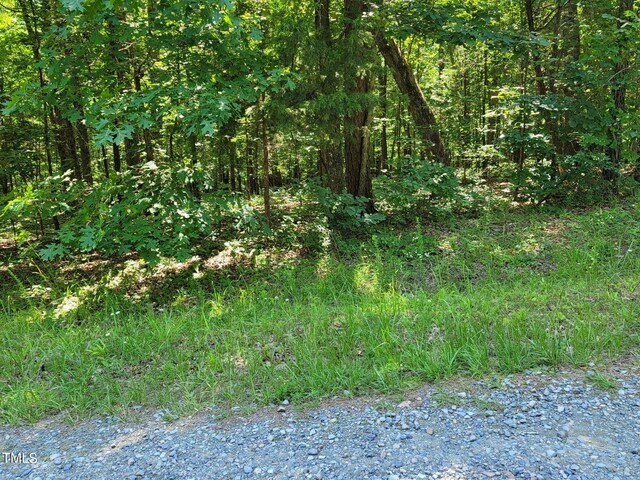 242 Lakestone Ests, Pittsboro, NC 27312 - photo 26