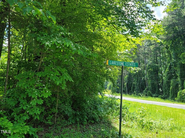242 Lakestone Ests, Pittsboro, NC 27312 - photo 29