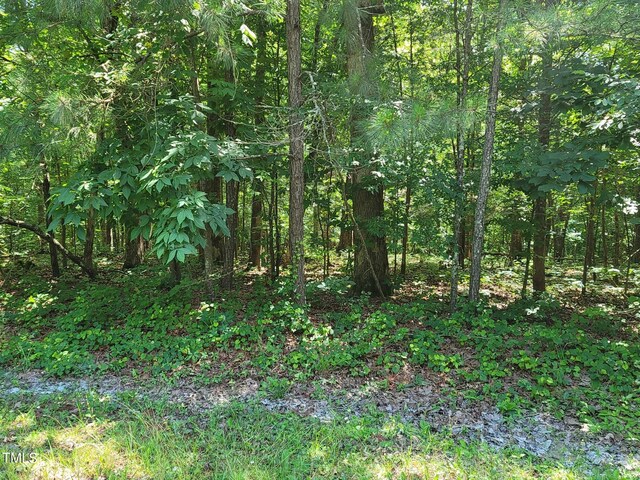 242 Lakestone Ests, Pittsboro, NC 27312 - photo 32