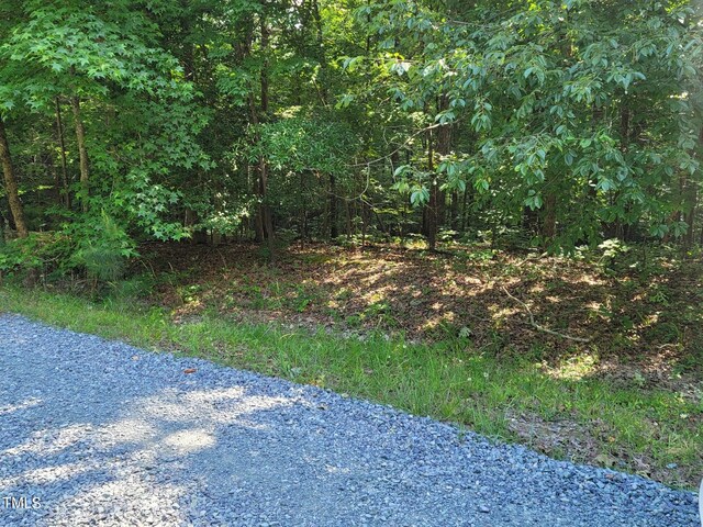 242 Lakestone Ests, Pittsboro, NC 27312 - photo 28