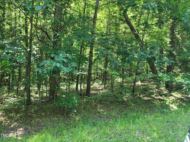 242 Lakestone Ests, Pittsboro, NC 27312 - photo 33