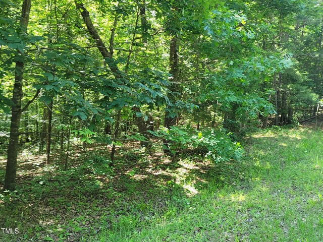 242 Lakestone Ests, Pittsboro, NC 27312 - photo 31