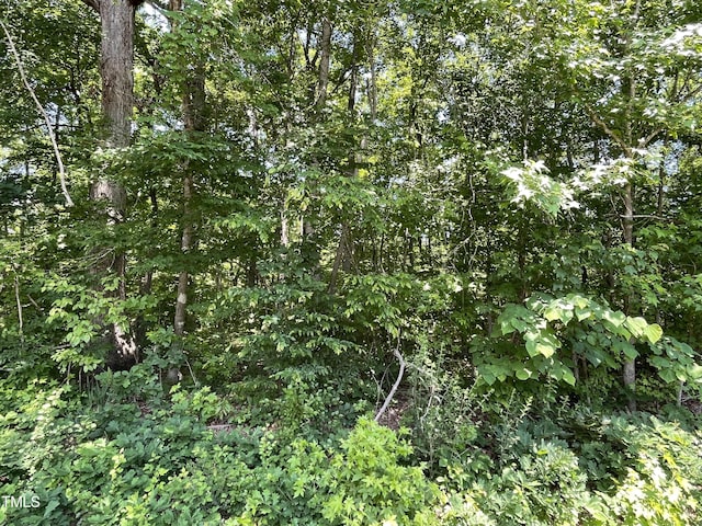 0000-3 Shady Ln, Burlington NC, 27217 land for sale