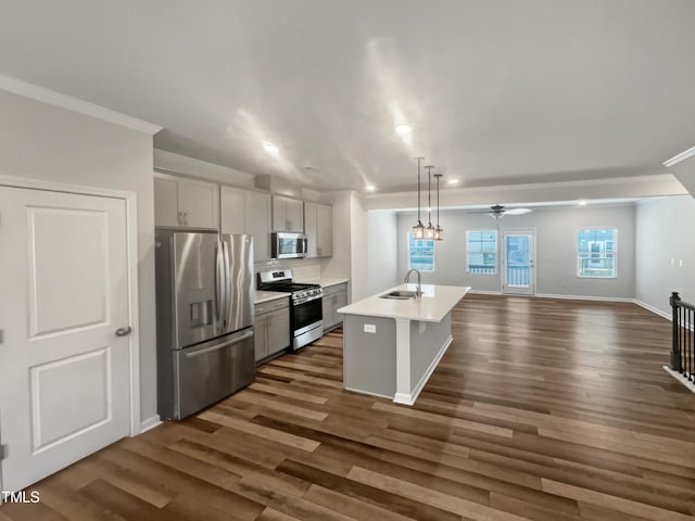 kitchen with appliances with stainless steel finishes, dark hardwood / wood-style flooring, gray cabinetry, ceiling fan, and a kitchen island with sink