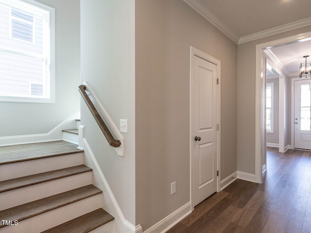 staircase with hardwood / wood-style flooring, a notable chandelier, and ornamental molding