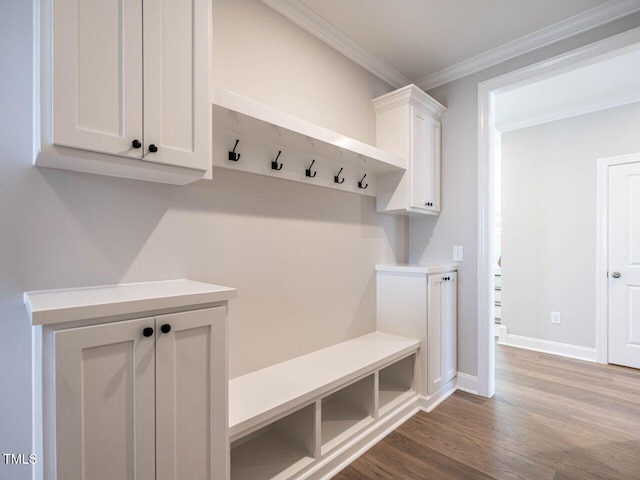 mudroom featuring wood-type flooring and ornamental molding