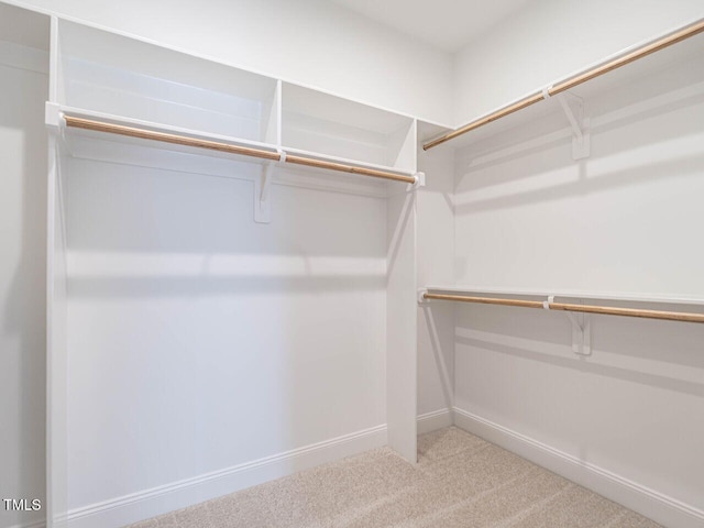 1713 Grassy Falls Ln, Wendell, NC 27591 - spacious closet featuring carpet floors
