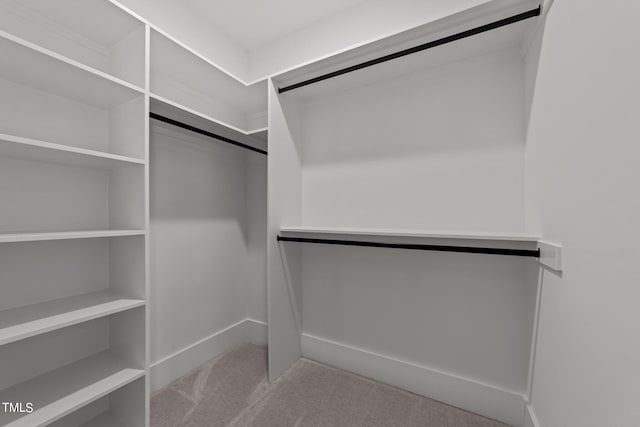 spacious closet with carpet floors